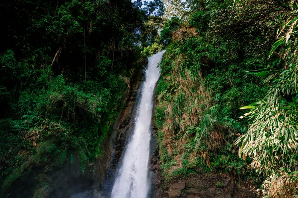 Víz Hullik Vízesésből Zöld Bokrokkal Körülvéve Turrialba Costa Rica Állam — Stock Fotó