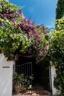 Çiçekler bir evin girişinde