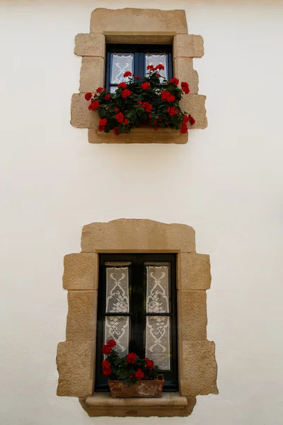 Windows met bloemen — Stockfoto