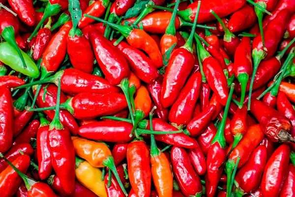 Červený pikantní chilli — Stock fotografie