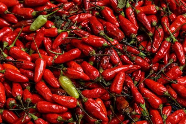 Chili picante rojo — Foto de Stock