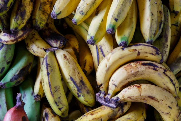 天然香蕉成熟关闭 — 图库照片