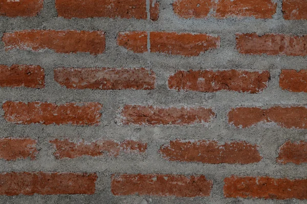 Brick wall texture close up — Stock Photo, Image