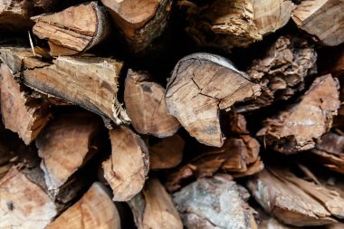 Kesik odun yığını