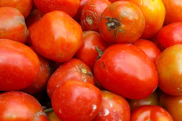 Pile of tomatoes — Stock Photo, Image