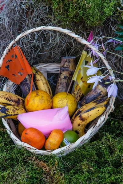 Cesta con frutas tropicales —  Fotos de Stock