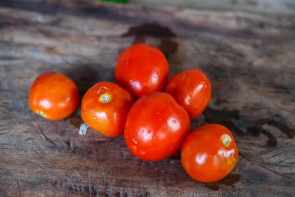 Tomaten — Stockfoto