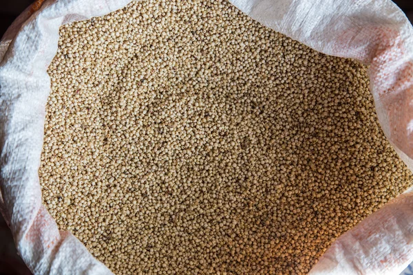 El sorgo en la caja en detalle — Foto de Stock