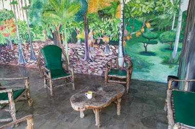 Açık havada bir boyalı orman artalan ile ahşap sandalye