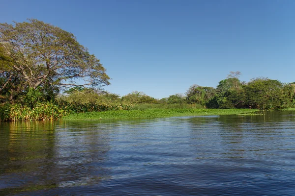 Isletas från Nicaragua lake — Stockfoto