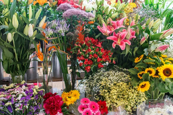 Grupo de flores coloridas em detalhes — Fotografia de Stock
