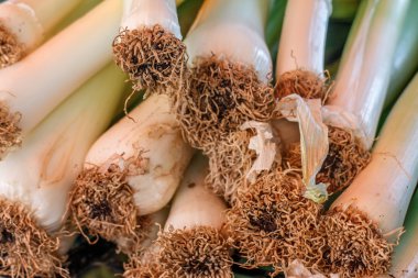 soğan ayrıntılı bir piyasa