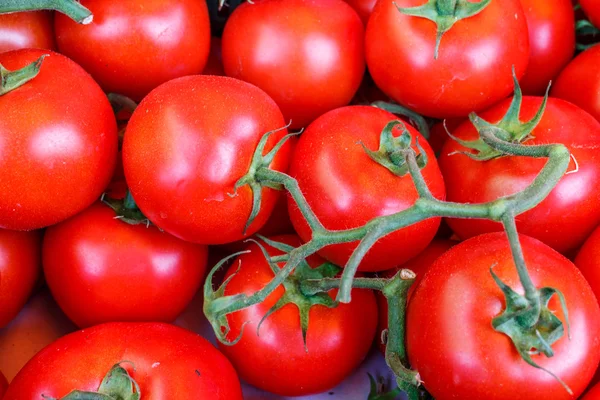 Grupo de tomate a partir de um mercado — Fotografia de Stock