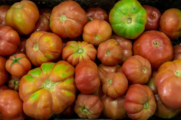 Tomaten-Gruppe — Stockfoto