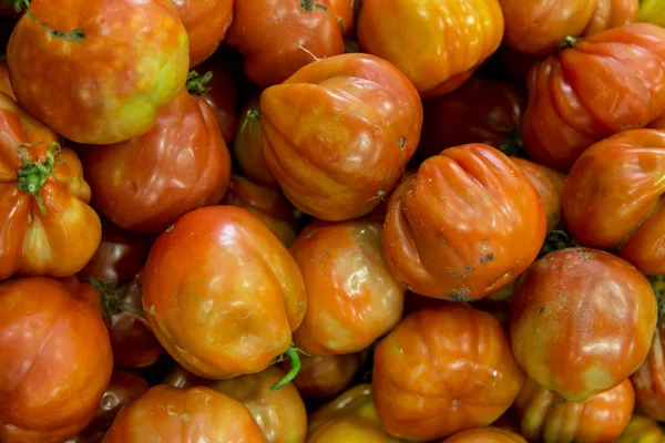 Mucchio di pomodori — Foto Stock