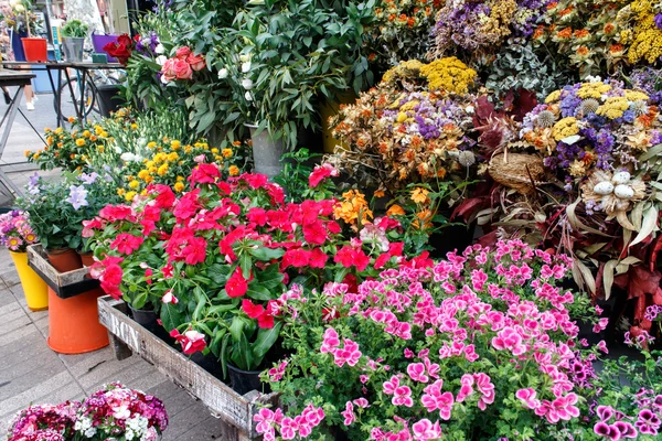 Flores — Foto de Stock