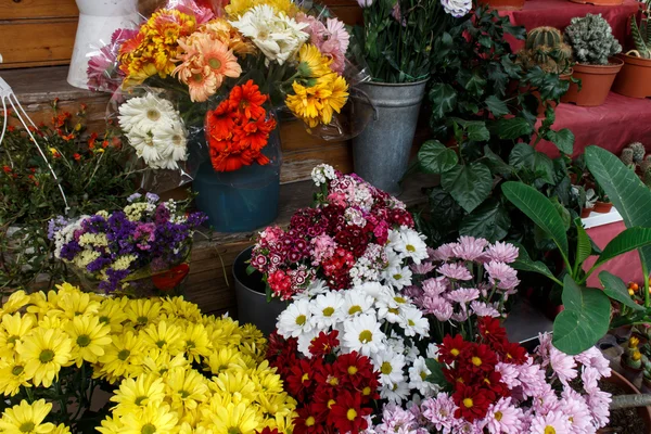 Ramos de flores coloridas —  Fotos de Stock