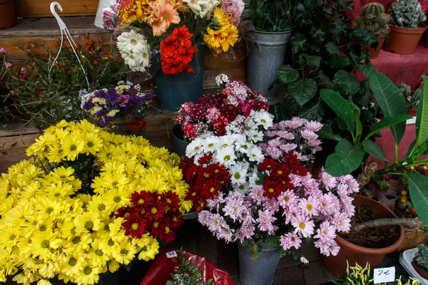 Ramos de flores coloridas — Foto de Stock