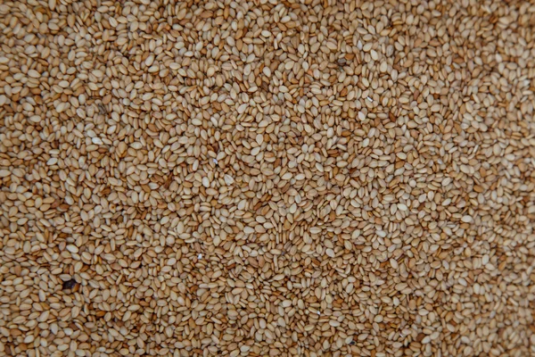 Toasted sesame seeds — Stock Photo, Image