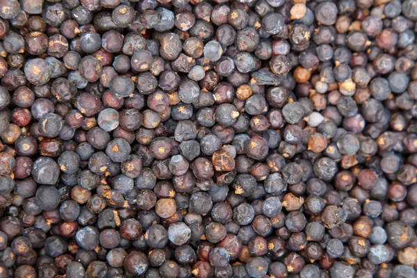 Black pepper milled — Stock Photo, Image