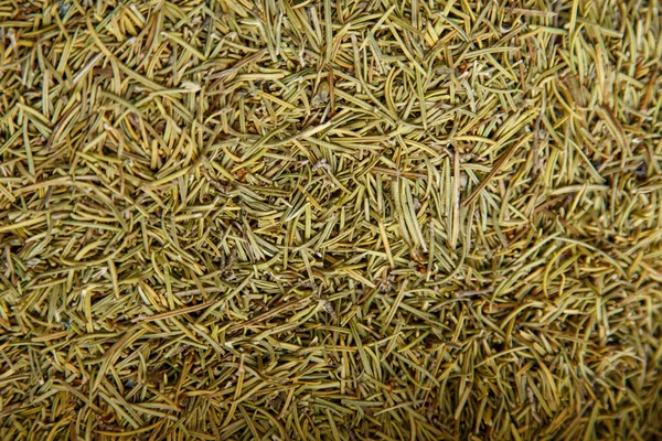 Dried rosemary — Stock Photo, Image