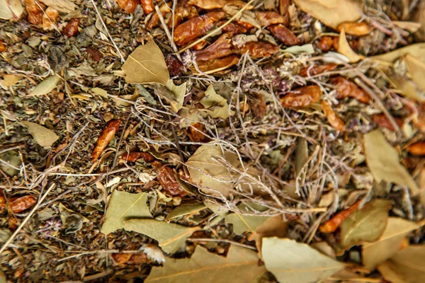 Dry spices — Stok fotoğraf