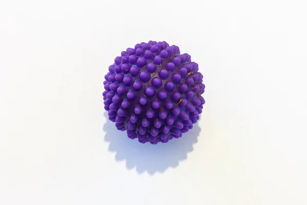 Purple dog ball — Stock Photo, Image