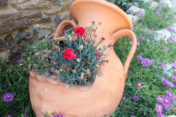 Grekiska lera amphora med blommor — Stockfoto