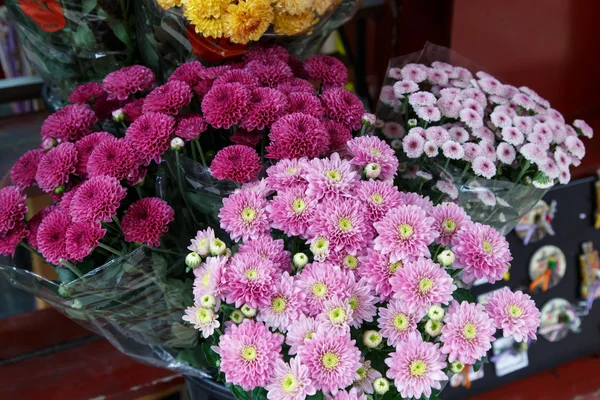 Hermosas flores coloridas — Foto de Stock