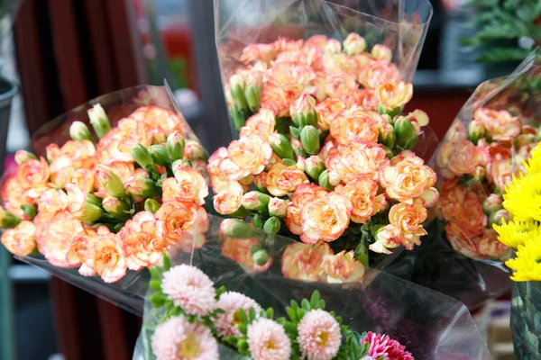 Барвисті красиві квіти — стокове фото