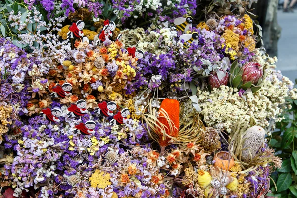 Сухі квіти — стокове фото
