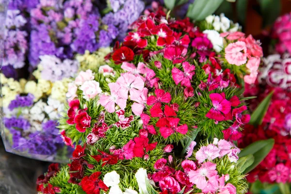 Variedad de flores —  Fotos de Stock