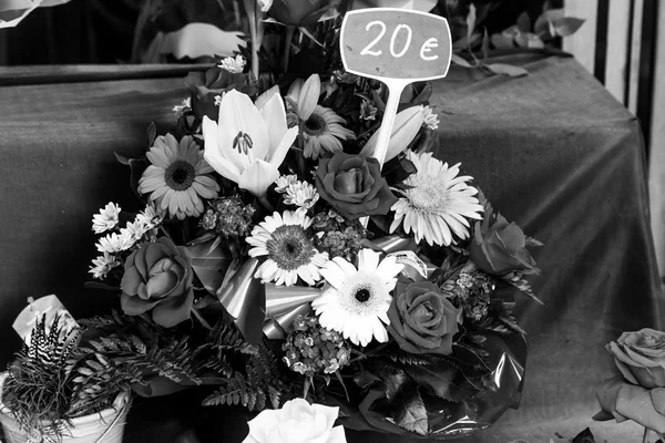 Flores en blanco y negro —  Fotos de Stock