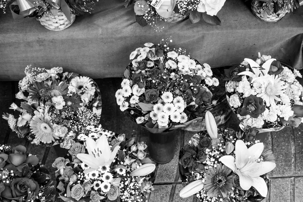 Flowers in black and white — Stock Photo, Image