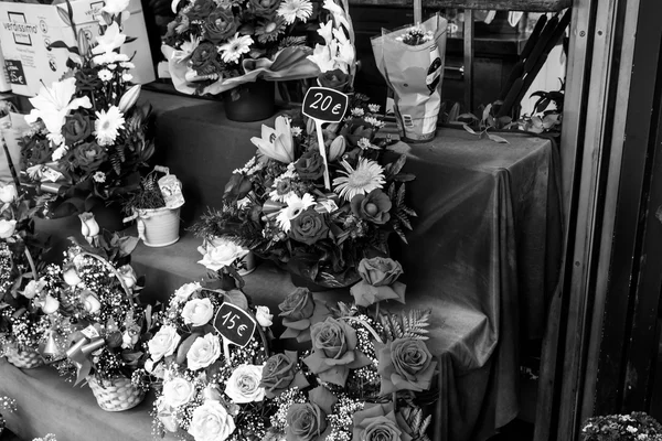 Kwiaty w czerni i bieli — Zdjęcie stockowe