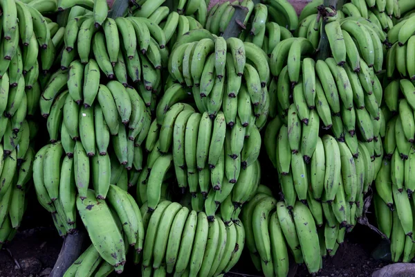 绿色香蕉作为背景 — 图库照片