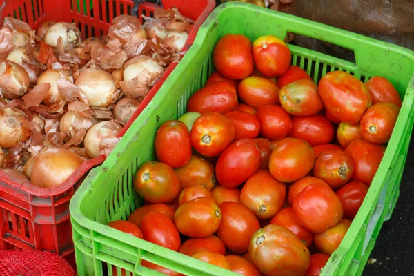 Tomaten und Zwiebeln auf Plastikboxen — Stockfoto