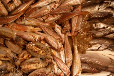 arka plan olarak taze balık