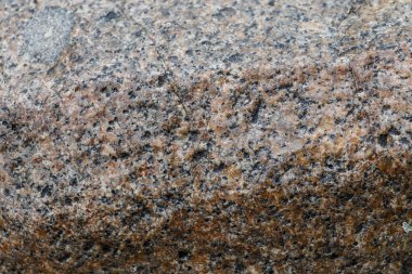 スタイリッシュな国の家のリビング