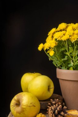 Tahta üzerinde sarı elmalar, sonbahar yaprakları ve sarı kasımpatı, siyah arkaplan, dikey
