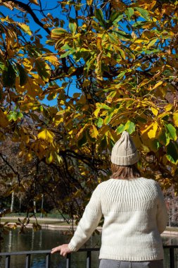 Arkasından süveter ve beyaz şapkalı bir kadın, sonbahar manzarasına bakıyor, portre