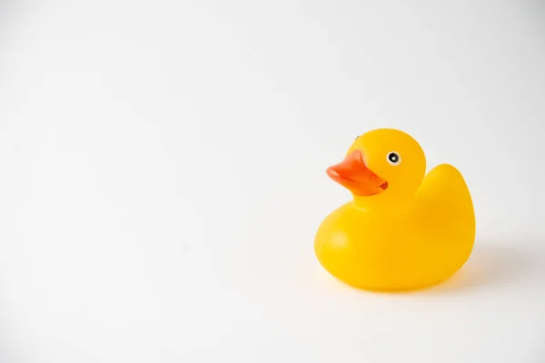 View Yellow Duckling Children Bath White Background Horizontal Copy Space — Stock Photo, Image