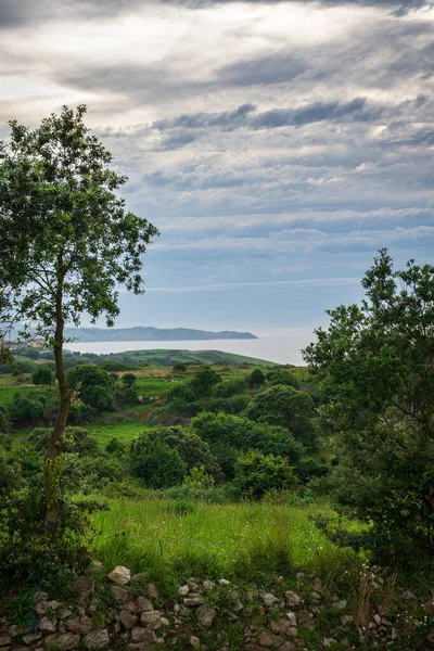 Tájkép Zöld Rétek Fák Tenger Háttérben Egy Felhős Délután Cantabria — Stock Fotó