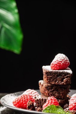 Keklik, ahududu ve nane yapraklı, şekerli, seçici odaklı, siyah arka planlı, dikey