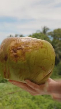 Dikey video. Yeşil Hindistancevizi Tutan Kadın Açık Hava Yeşilliğine Karşı Parlak Gökyüzü Altında, Yan Açı, Gerçek Zaman, Tropikal Hasat Konsepti