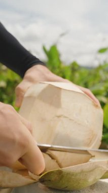 Dikey video. Mavi Gök ve Yeşil Yeşillik 'in altında Balkon Balkonunda Genç Hindistan cevizi Kabuğu ve Keskin Cleaver, Yakın çekim açısı, Yavaş çekim, Tropikal İçecek Konsepti