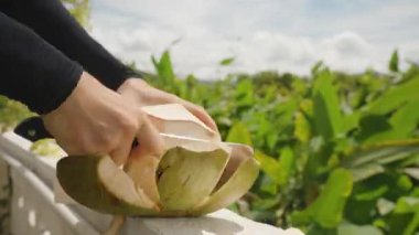 El Tutma Büyük Bıçak Balkon Duvarında Açık Yeşil Hindistancevizi Kesme Parlak Gökyüzü ve Tropikal Bitkiler Arka planda, yakın açı, Zaman Hızı Temizleme Konsepti
