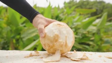 Yeşil Tropikal Bitkilerle çevrili Balkon Duvarında Büyük Bıçak ile El Temizleme Kahverengi Fiberleri Yakın çekim açısı, Gıda Hazırlama Konsepti