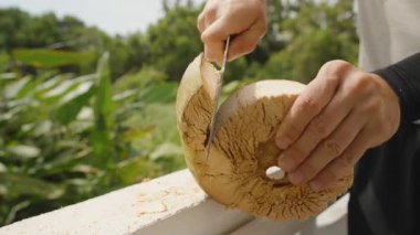Kalan Hindistan cevizi kabuğunu tamamen ortaya çıkarmak için kesen kişi. Açık havada beton parmaklıklar üzerinde bıçaklı iç fındık, orta açı, sağlıklı beslenme kavramı.