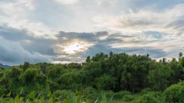 Geniş Açı Tropikal Orman Görünümü Bulutlu Günbatımı Gökyüzü 'nün altında Parlayan Işıklar, Zaman Hızı Günbatımı Konsepti